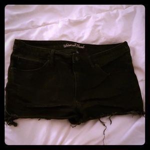 Black Shortie Shorts